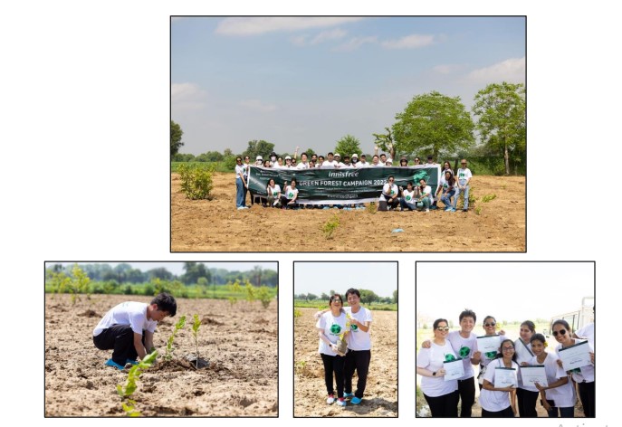 Innisfree green forest campaign re-surfaces hope for a greener future