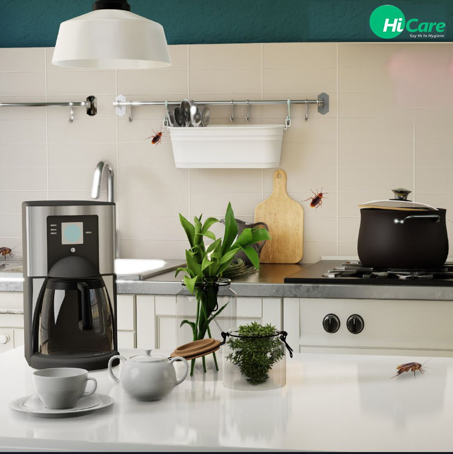 Improve your hygiene this festive season with HiCare’s 4D Cockroach Control